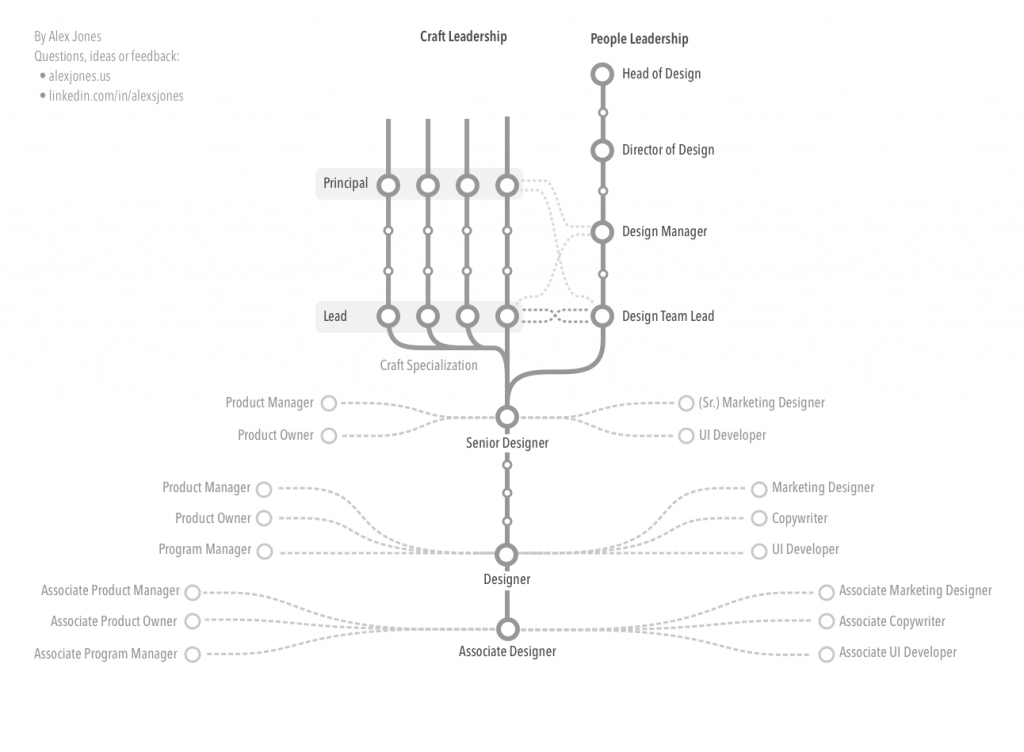 An outline of the branching career path